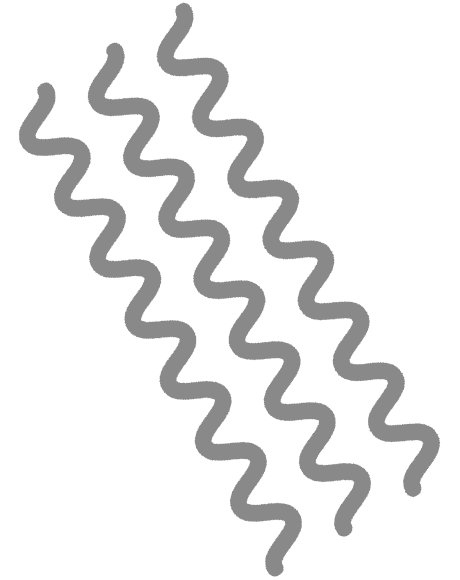 wiggle